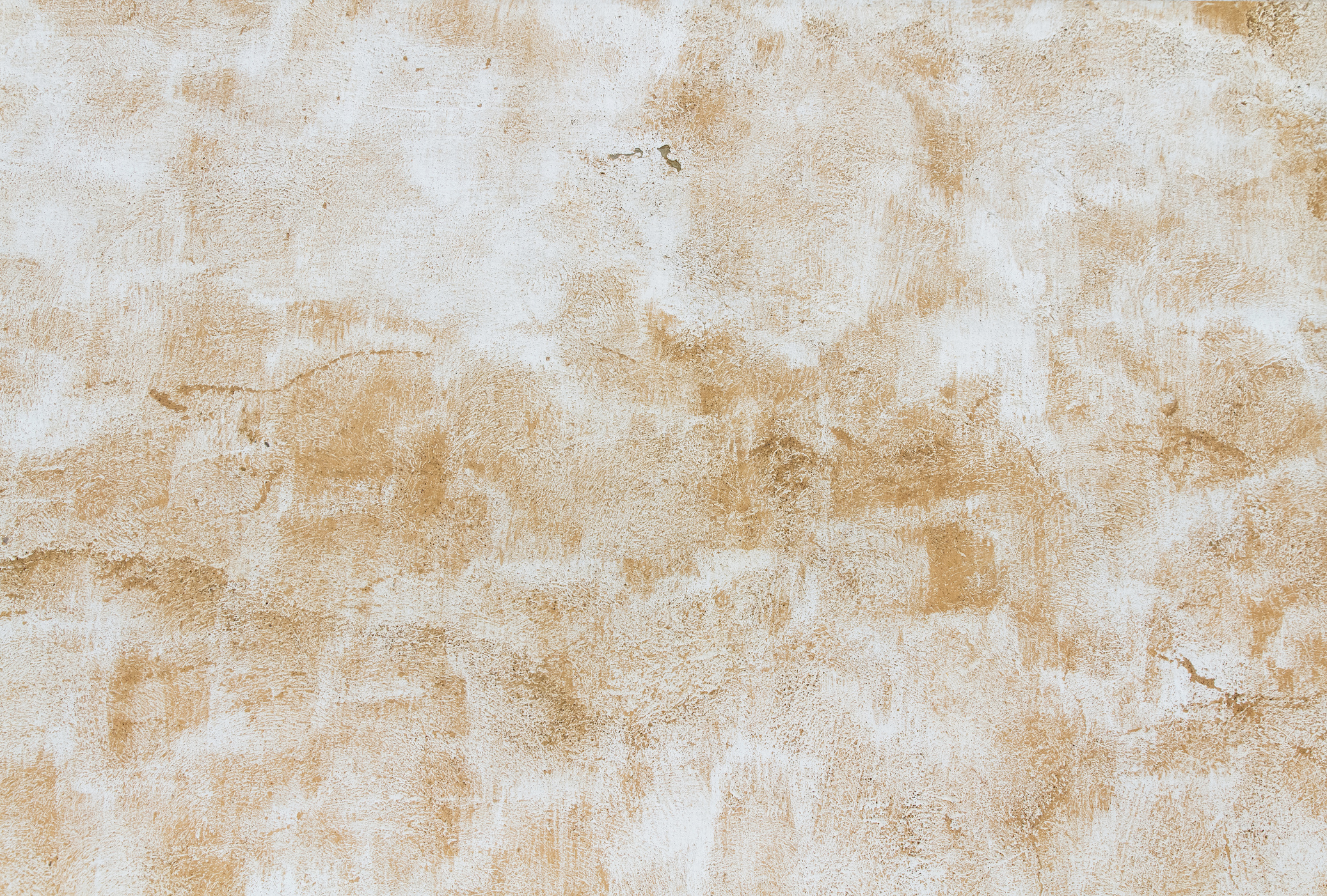 Wall Fund - Fondo de Pared